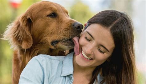 mujer folla con perro|Mujer feliz jugando con su perro: video de stock ...